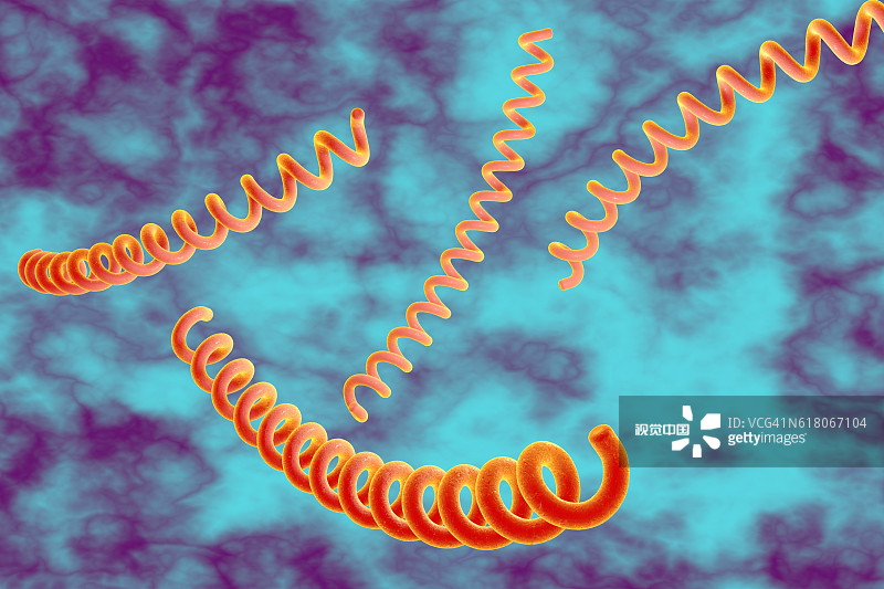 VCG41N618067104.jpg