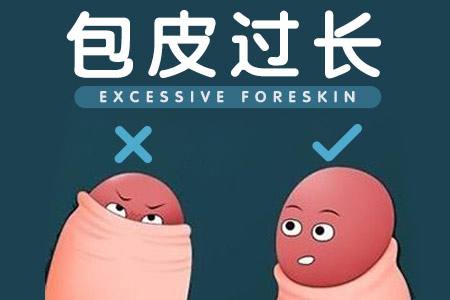包皮太长和包皮过长,容易引起生殖器发炎