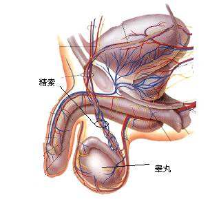 南京邦德中医院解答男性一侧睾丸痛怎么治疗?